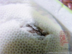 ���汦�������ָ������ޱ���������ȷ��ԭ��