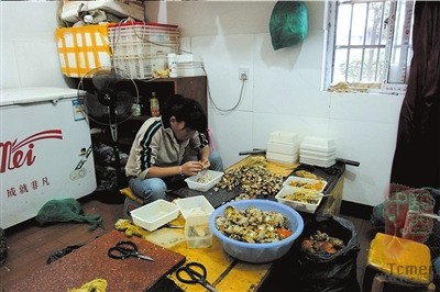 地下作坊购死蟹加工蟹肉蟹黄(组图)