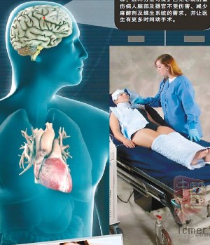 �ñ�̺����������������õĵ��������ֶ� 