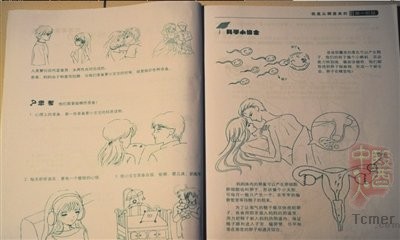 �α���ͼ�������������鷭��