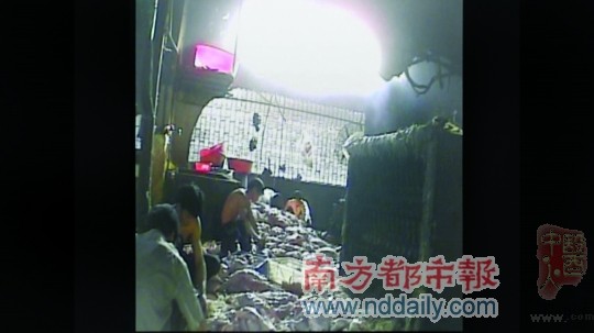 恐怖烧腊