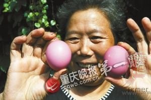 ĸ������20ö�쵰 ר�ҳƻ�Ϊ�������(ͼ)