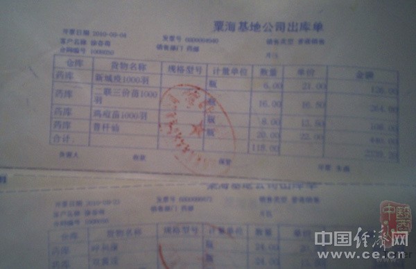 肯德基麦当劳原料鸡45天速成 工人称饲料把苍蝇毒死了