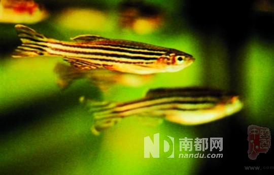 <p>&nbsp;&nbsp;&nbsp;&nbsp;������</p>