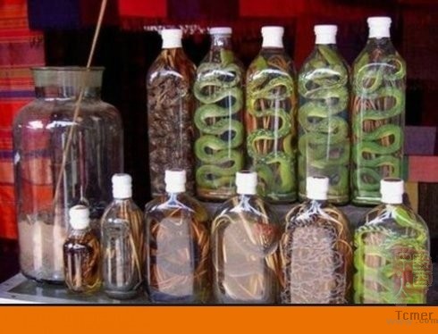 毒蛇泡酒3个月突然窜出咬伤农妇手指(图)