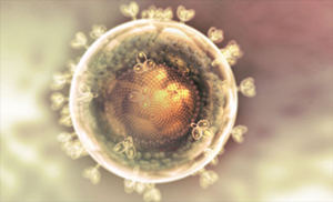 Medscape��2013�ش�ҽѧ�¼��̵�