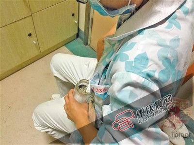 男子上山砍柴被一群马蜂蜇亡