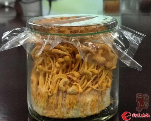 �о�:�����Ĳ��޳���غͿ�������˾���� Ӽ�����