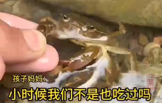 QQ��ͼ20250217101447