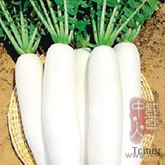 医生提醒冬天胃肠不适需少吃萝卜和芋头(图)