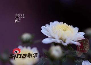 9月8日白露节气 养生要注意四点