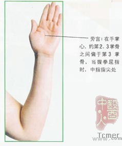 �鷿��Ħ