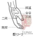 手阳明大肠经穴