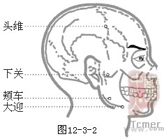 足阳明胃经穴