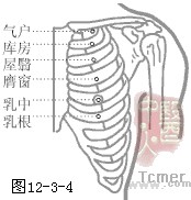 足阳明胃经穴
