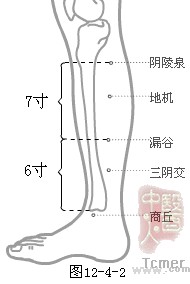 足太阴脾经穴