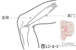 足太阴脾经穴