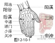 手少阳三焦经穴