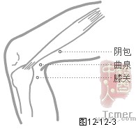 足厥阴肝经穴