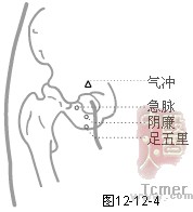 足厥阴肝经穴